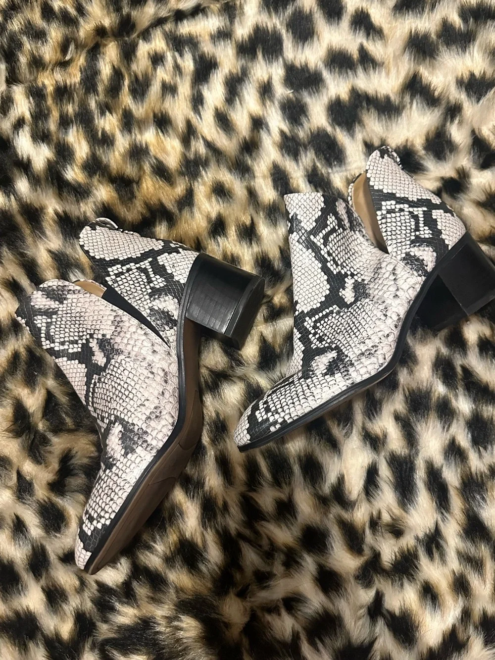 Franco Sarto Snake-Print Ankle Boots in Black and white
